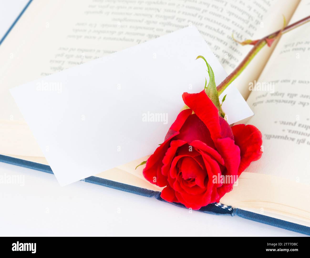 Rote Rose auf offenem Buch mit leerer Geschenkkarte für Text auf weißem Hintergrund Stockfoto