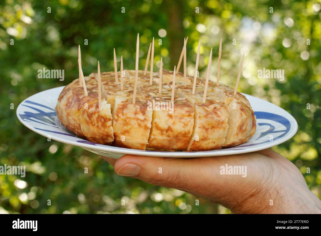 Spanisches Omelett. Torilla de patatas. Stockfoto