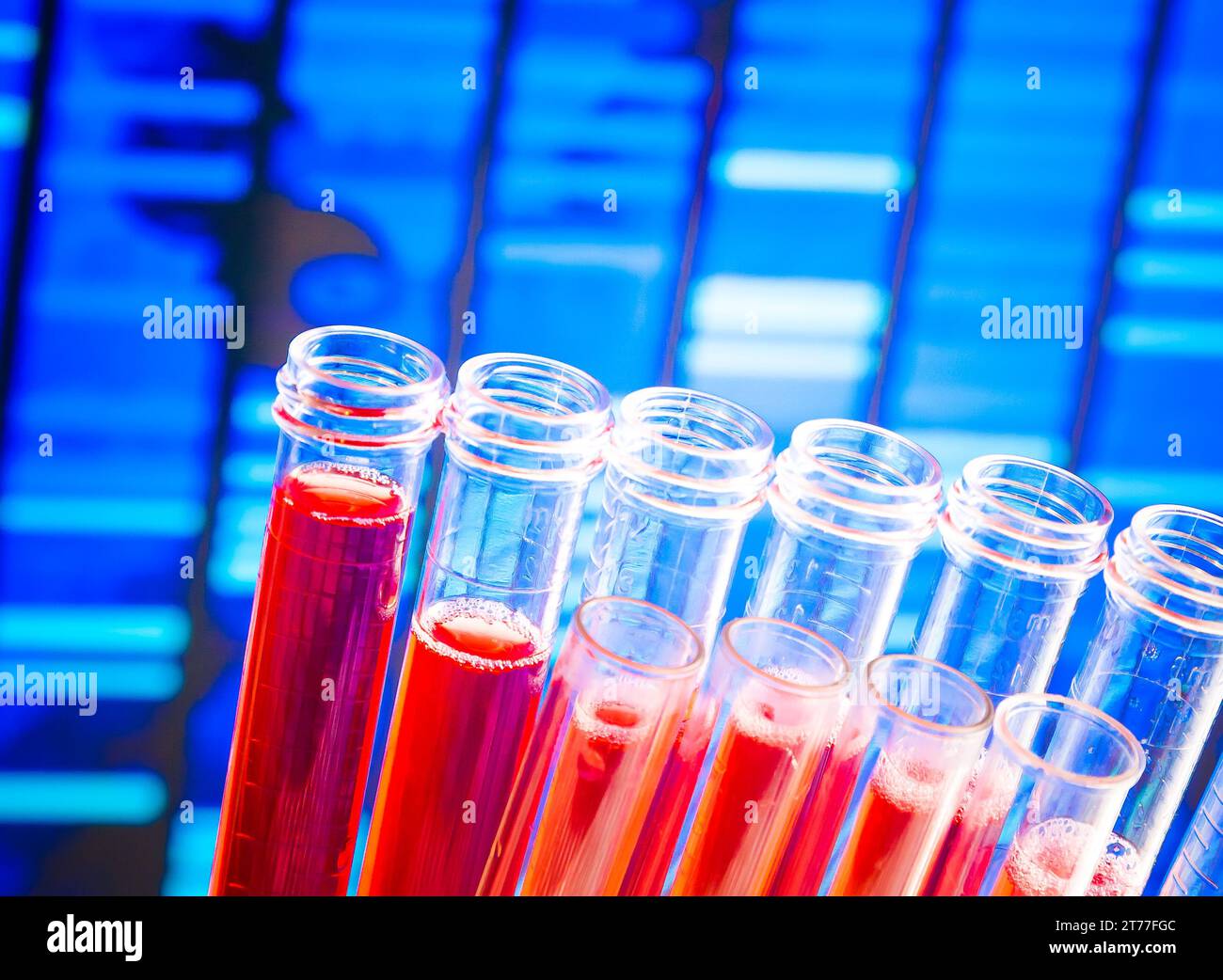 Reagenzgläser mit roter Flüssigkeit auf blauem Hintergrund der abstrakten dna-Sequenz Stockfoto