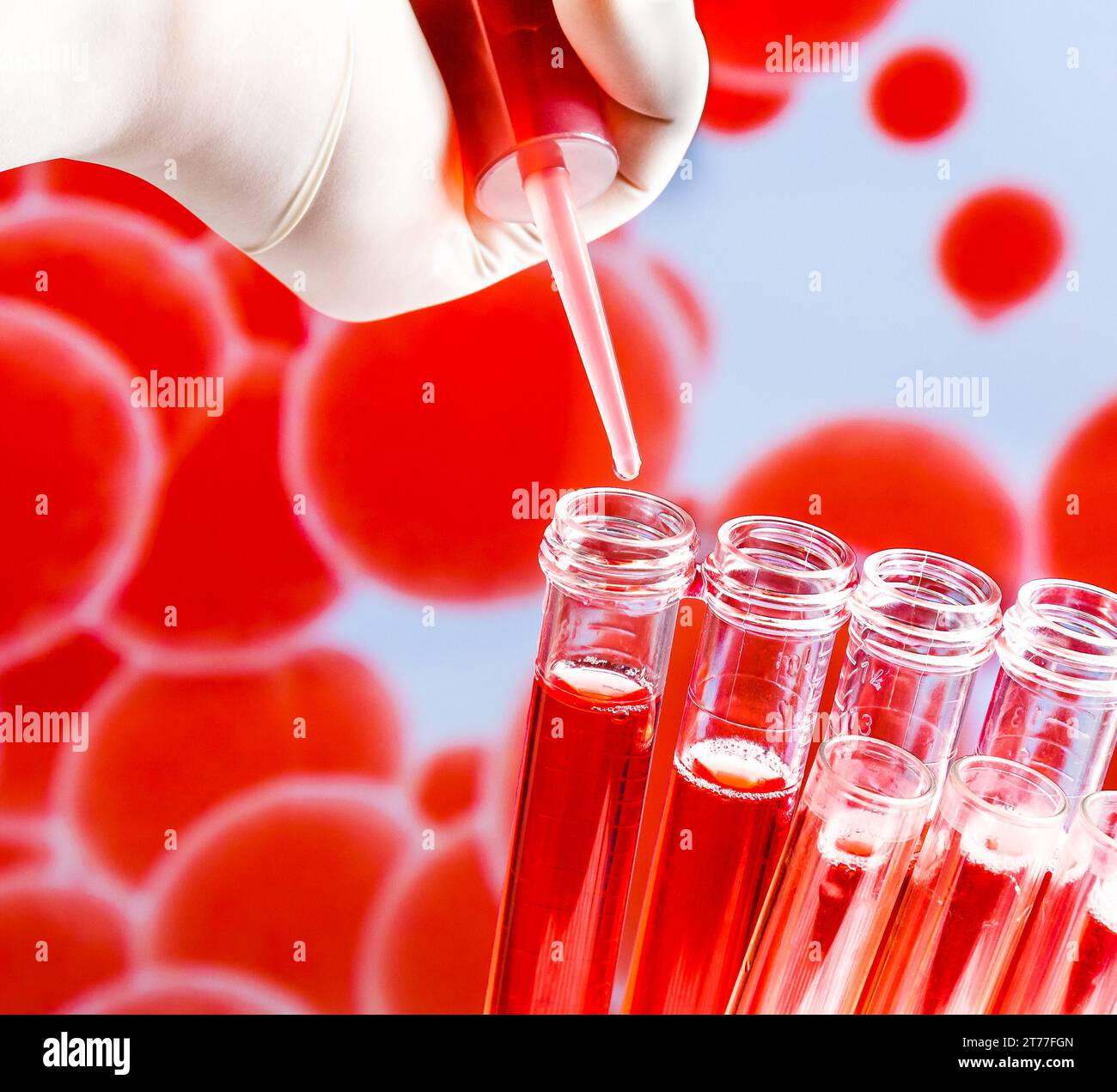 Nahaufnahme von Reagenzgläsern mit Pipette auf roter Flüssigkeit auf blauem abstraktem Bluthintergrund Stockfoto