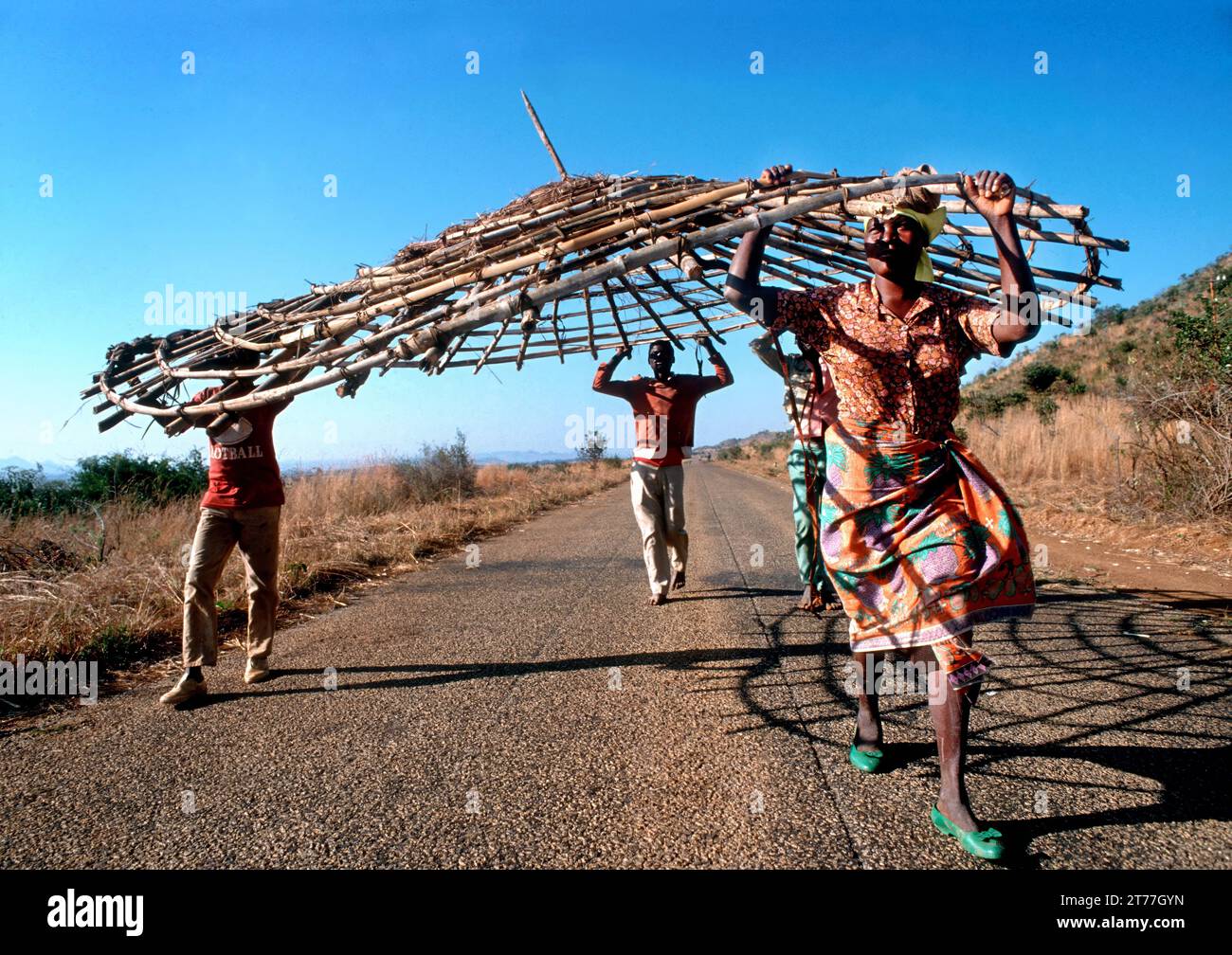 Menschen tragen einen vorgefertigten Dachträger für eine Rundhütte, Mosambik, Provinz Tete. Stockfoto