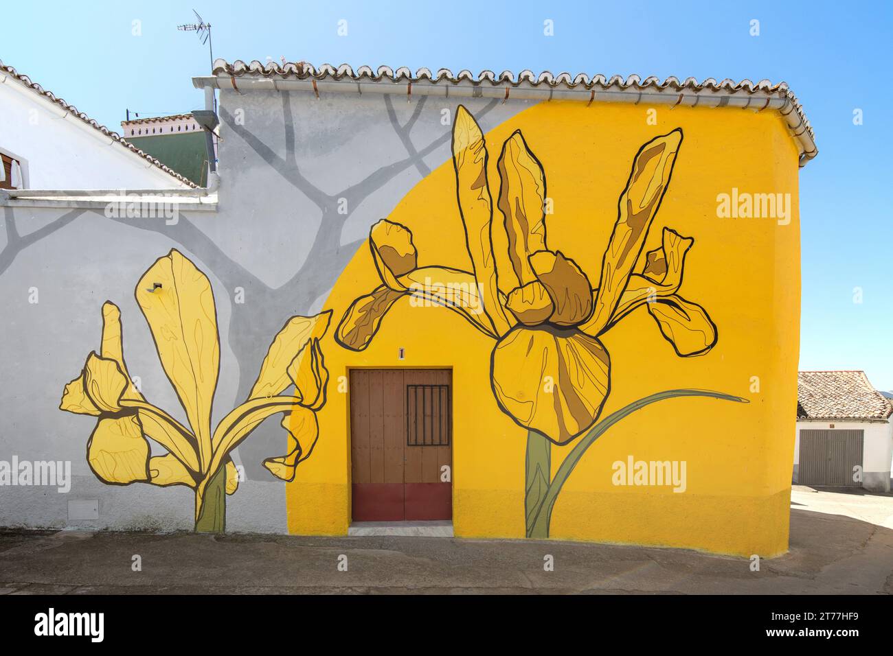 Künstlerisch bemalte Hauswand, Lilienblüten, Spanien, Extremadura, Salorino Stockfoto