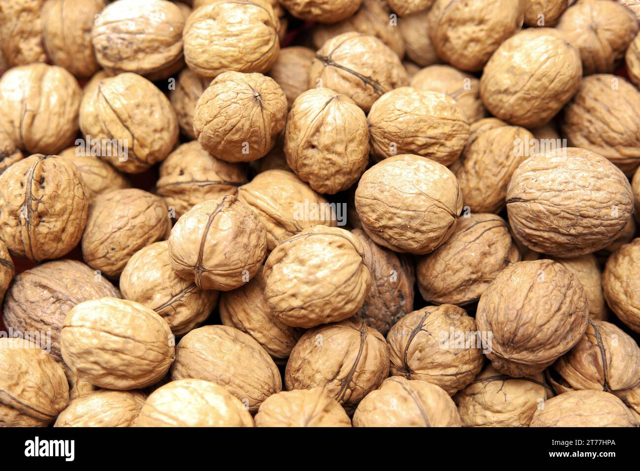 Walnuss (Juglans regia), Walnüsse mit Nußschale Stockfoto