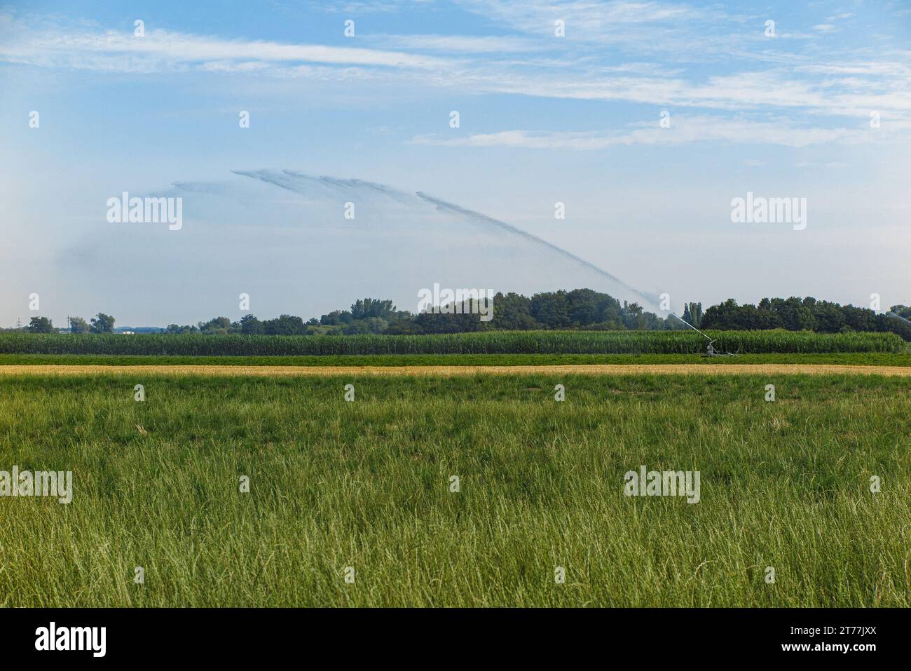 Kartoffelfeld wird weitgehend mit Grundwasser bewässert, Deutschland, Bayern, Pliening Stockfoto