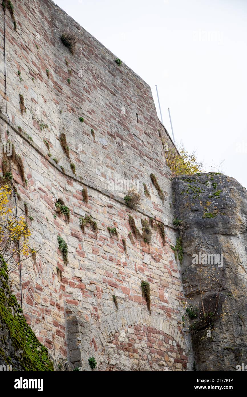 Mauer einer Burg gemischt mit Moos, Textur, Burg Waldeck Stockfoto