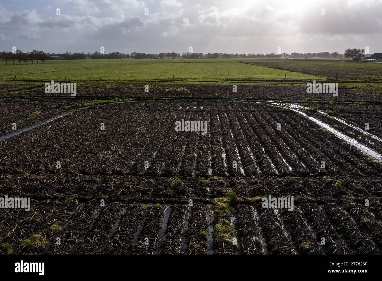 DRAP – Drohnenfoto. Nasse Kartoffelfelder. Aufgrund der starken Regenfälle in den letzten Wochen ist es fast unmöglich, die Kartoffeln auf dem Feld zu ernten. ANP JILMER POSTMA niederlande aus - belgien aus Stockfoto