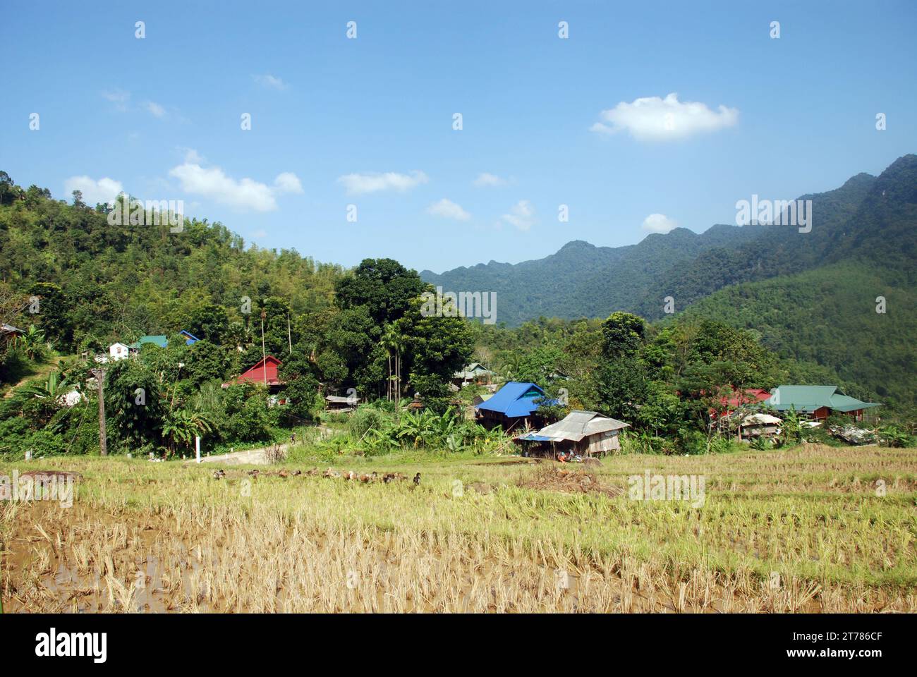Ländliches Leben in den Bergen Nordvietnams Stockfoto
