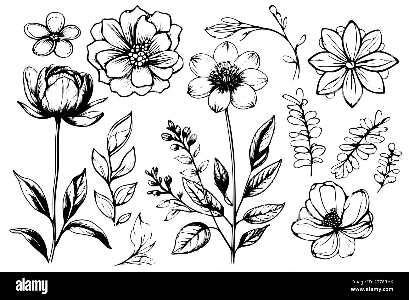 Das florale Vektorelement machte Wildblumen. Botanische Blumensammlung mit rosafarbenen Blumen, Blattzweigen, Kranz, Blättern, goldener schwarzer Hand gezeichnet. Elegante Blumen für Dekor, Drucke, Logo, Hochzeit, Karten. Stock Vektor