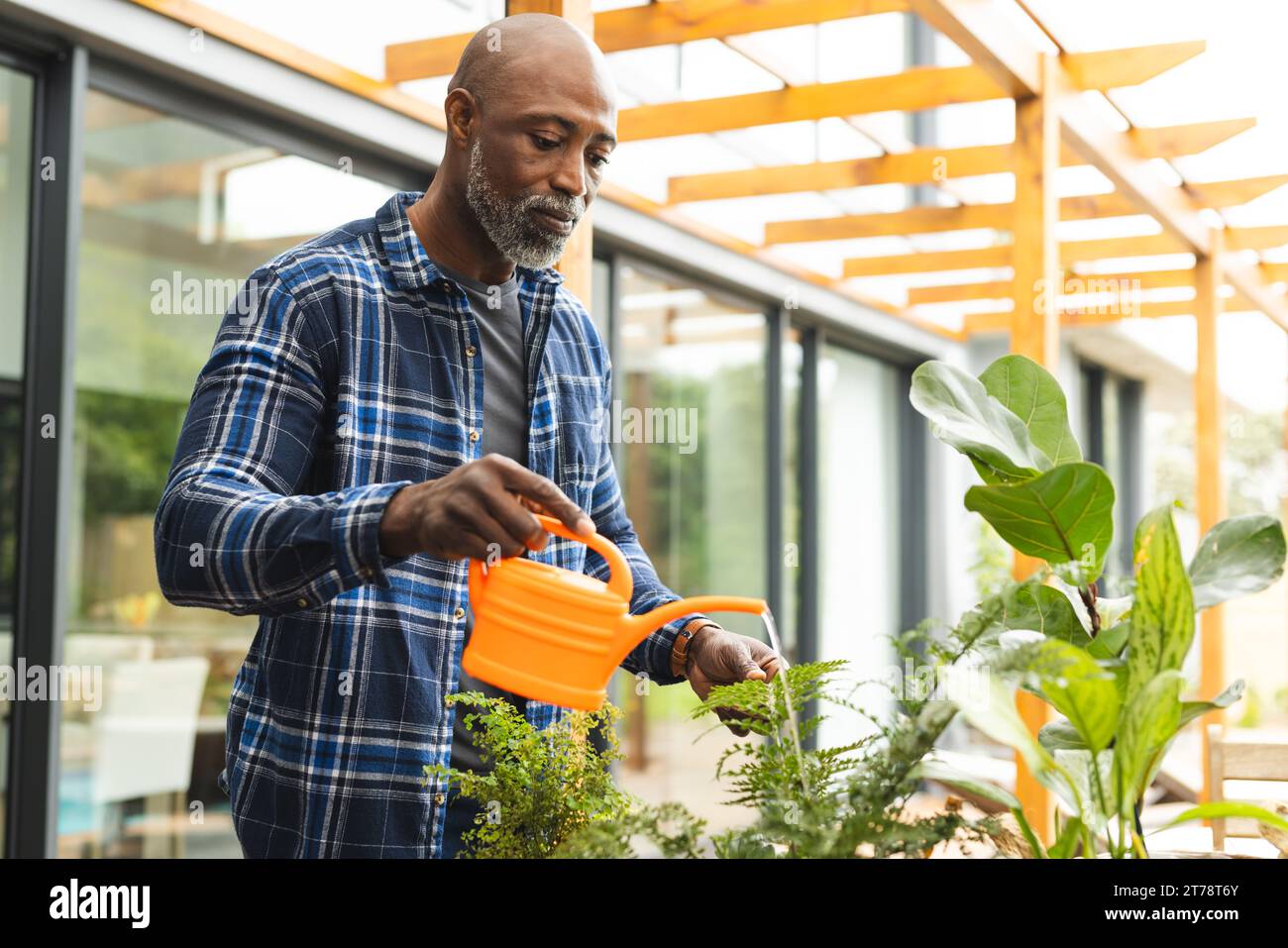 Fokussierter reifer afroamerikanischer Mann, der Pflanzen mit Gießkanne auf der Gartenterrasse, Kopierraum bewässert Stockfoto