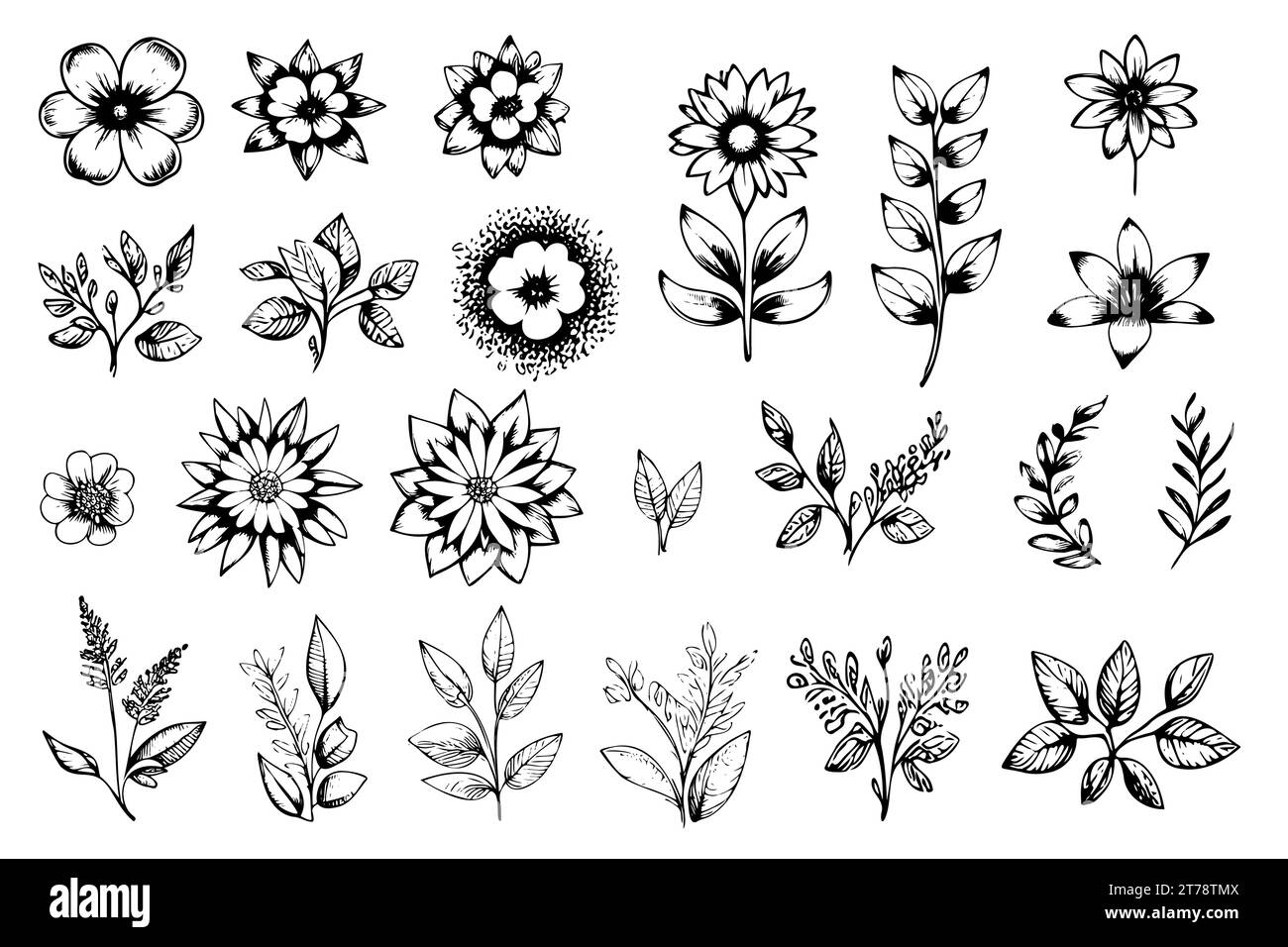 Das florale Vektorelement machte Wildblumen. Botanische Blumensammlung mit rosafarbenen Blumen, Blattzweigen, Kranz, Blättern, goldener schwarzer Hand gezeichnet. Elegante Blumen für Dekor, Drucke, Logo, Hochzeit, Karten. Stock Vektor