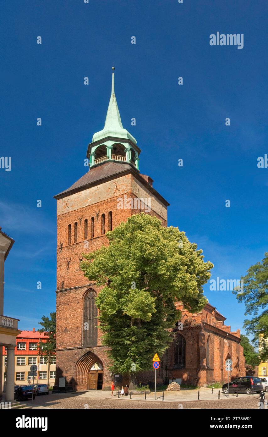 Gotische Marienkirche von Rynek (Marktplatz) in Białogard in Pommern, Woiwodschaft Westpommern (Zachodniopomorskie), Polen Stockfoto