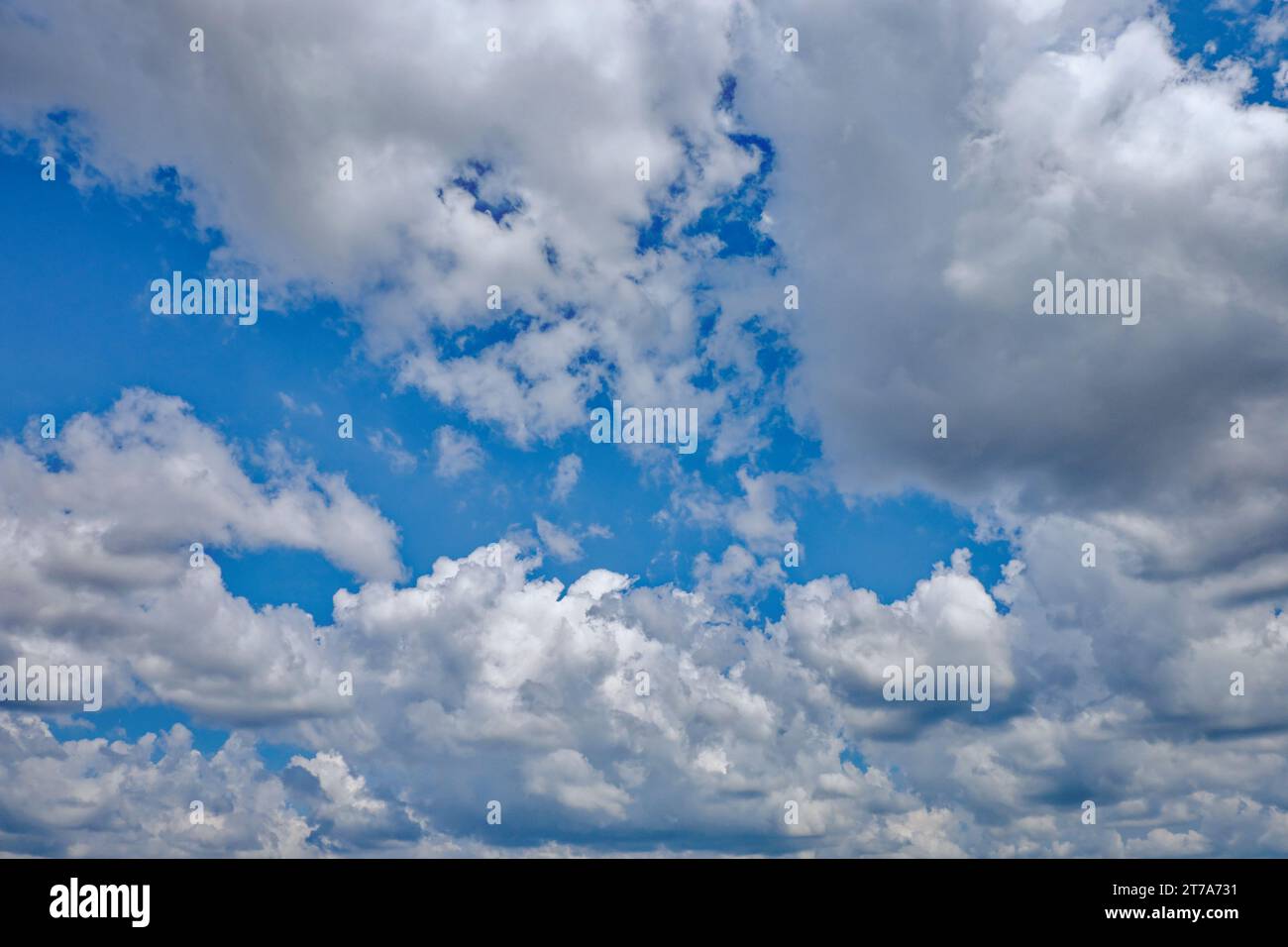 Diese fesselnde Szene bietet einen ruhigen blauen Himmel, der von flauschigen Wolken unterbrochen wird, die zur friedlichen und ruhigen Atmosphäre beitragen. Stockfoto