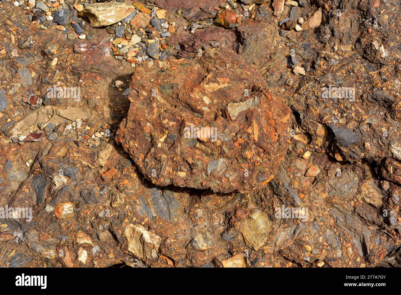 Sedimentäre Brekzie mit Winkelfragmenten und Matrix-Eisenreichweite. Diese Probe stammt aus La Albera, Girona, Katalonien, Spanien. Stockfoto