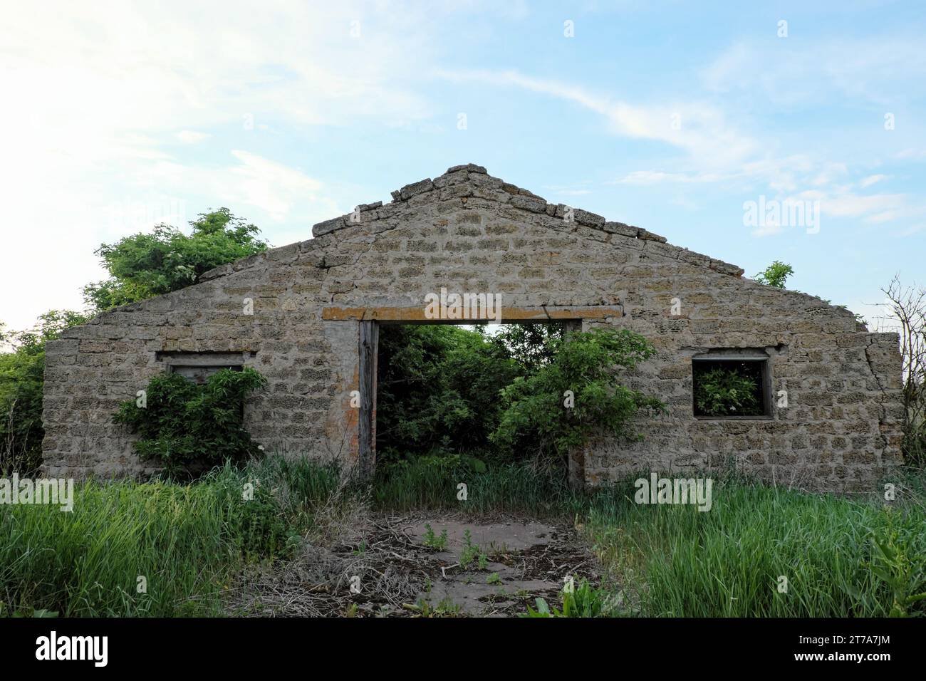 Eine bröckelnde Mauer, bedeckt mit Vegetation und Bäumen. Stockfoto