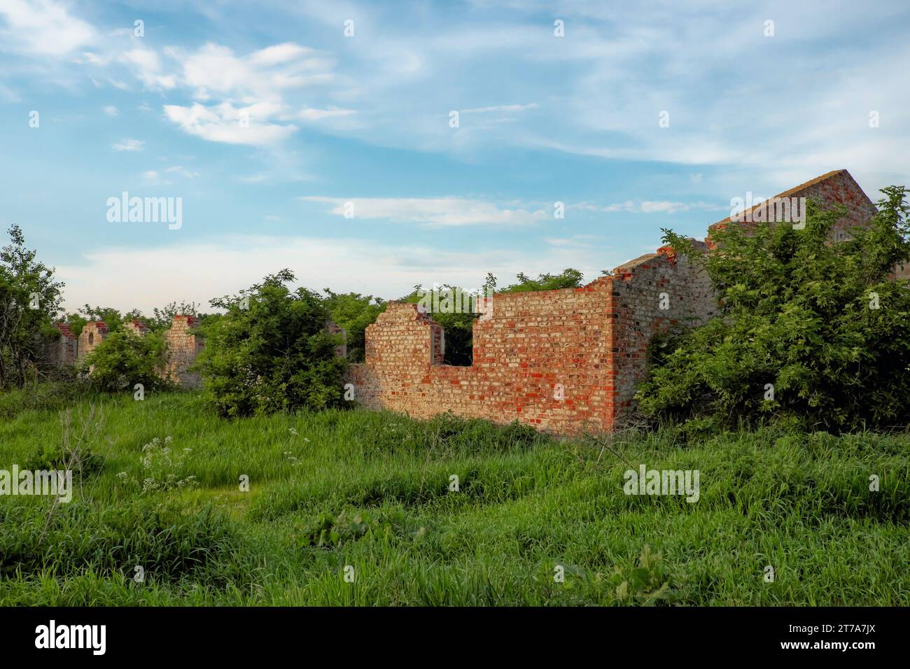 Auf dem Bild ist eine Mauer im verfallenen Zustand, umgeben von einem Wald, dargestellt. Stockfoto