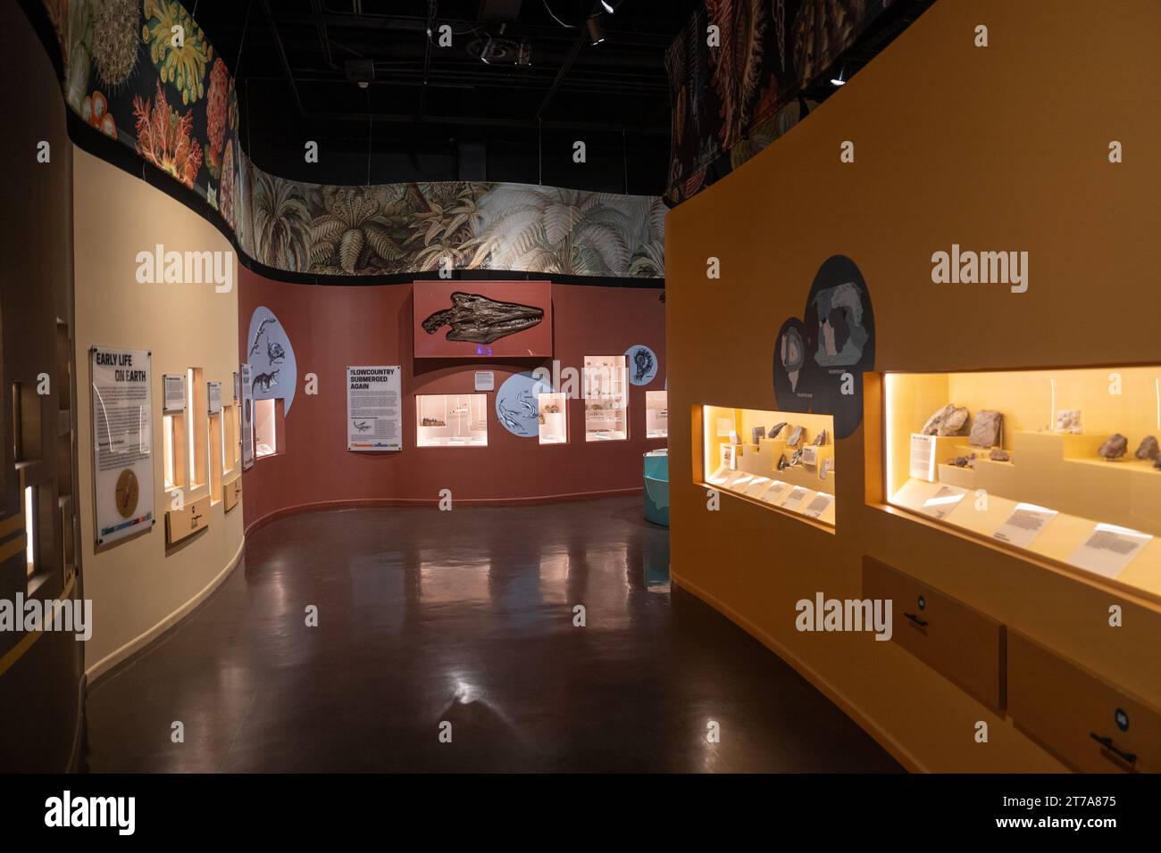 Das Charleston Museum, Amerikas erstes Museum in Charleston South Carolina Stockfoto