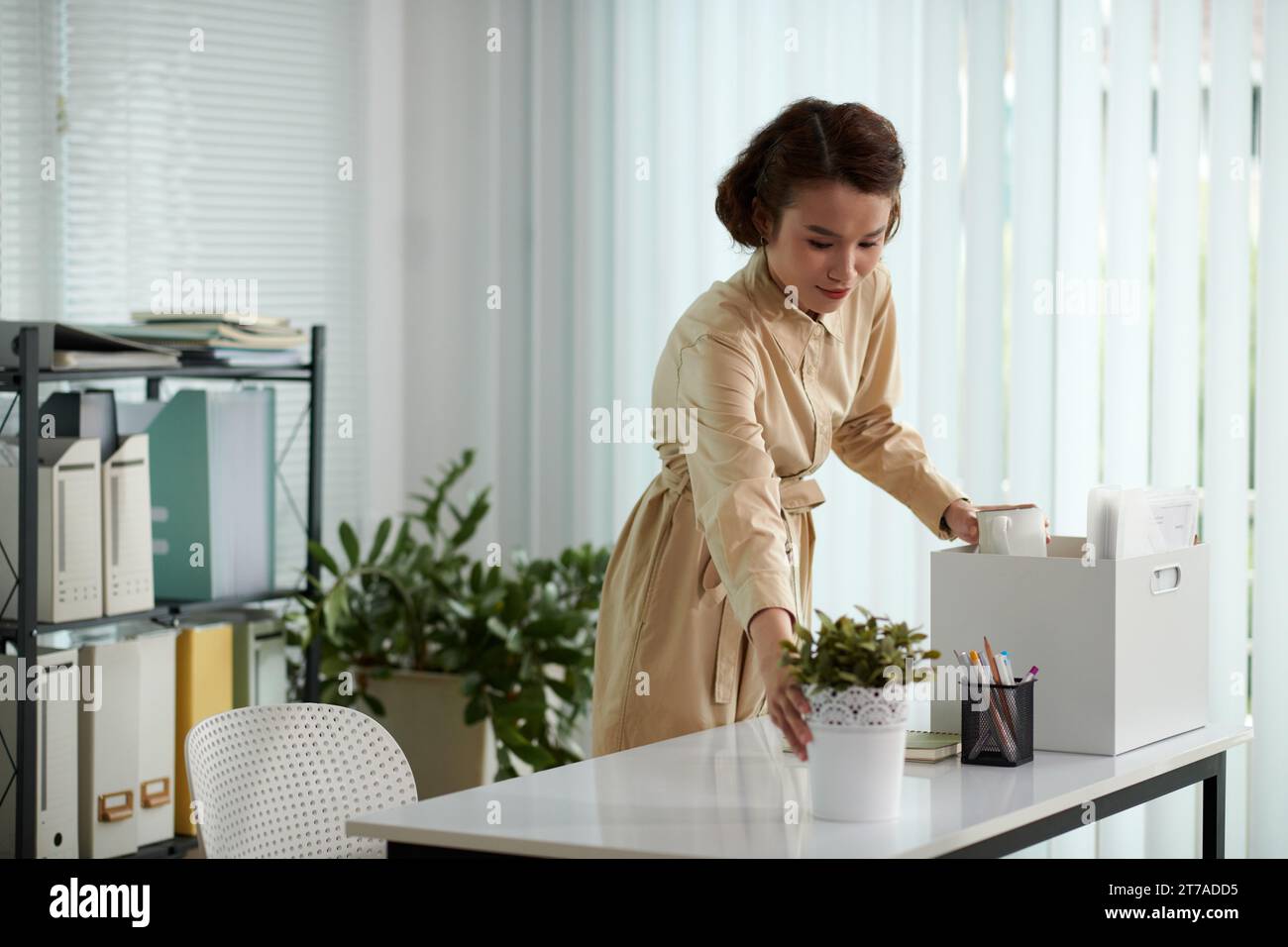 Eine junge Geschäftsfrau, die in einem neuen Büro Sachen aus der Kiste herausnimmt Stockfoto