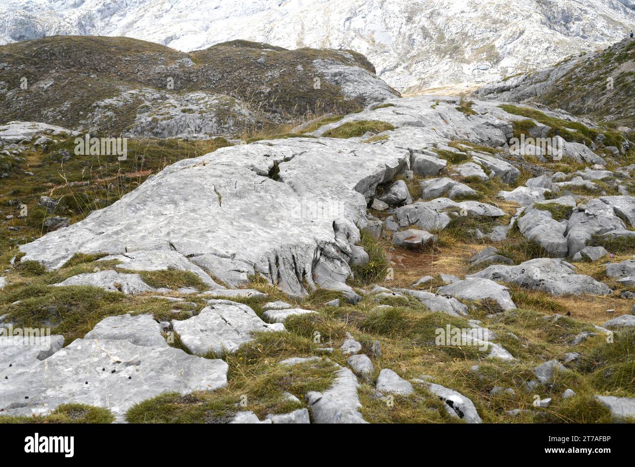 Drumlin glazialen Ursprungs bildete sich auf Kalkstein. Dieses Foto wurde im Nationalpark Picos de Europa, Fuente de, Kantabrien, Spanien aufgenommen. Stockfoto