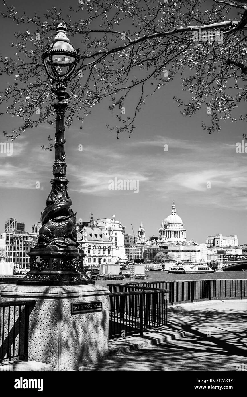 Blick auf die St. Paul's Cathedral vom Queen's Walk am Südufer der Themse. Schwarzweiß, Schwarzweiß. Stockfoto