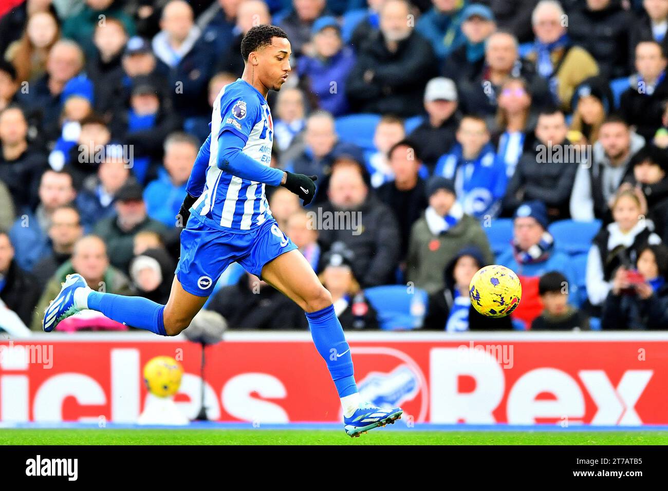 Joao Pedro aus Brighton und Hove Albion - Brighton & Hove Albion / Sheffield United, Premier League, Amex Stadium, Brighton, Großbritannien - 11. November 2023 nur redaktionelle Verwendung - es gelten Einschränkungen von DataCo Stockfoto