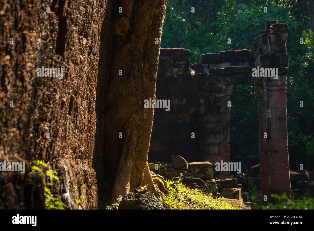 Preah Khan Tempel in Siem Reap, Kambodscha Stockfoto