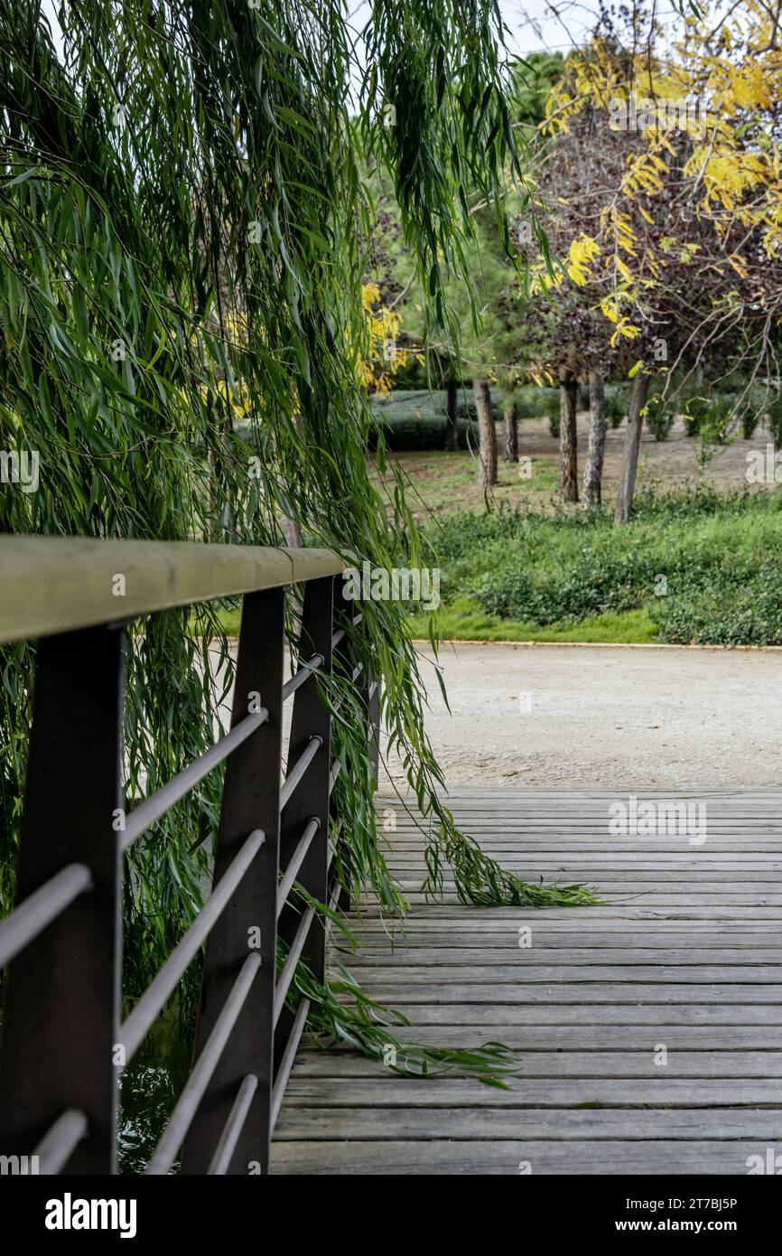 Eine kleine Brücke aus Holzdielen und Metallgeländern, die von den Ästen überspannt werden Stockfoto