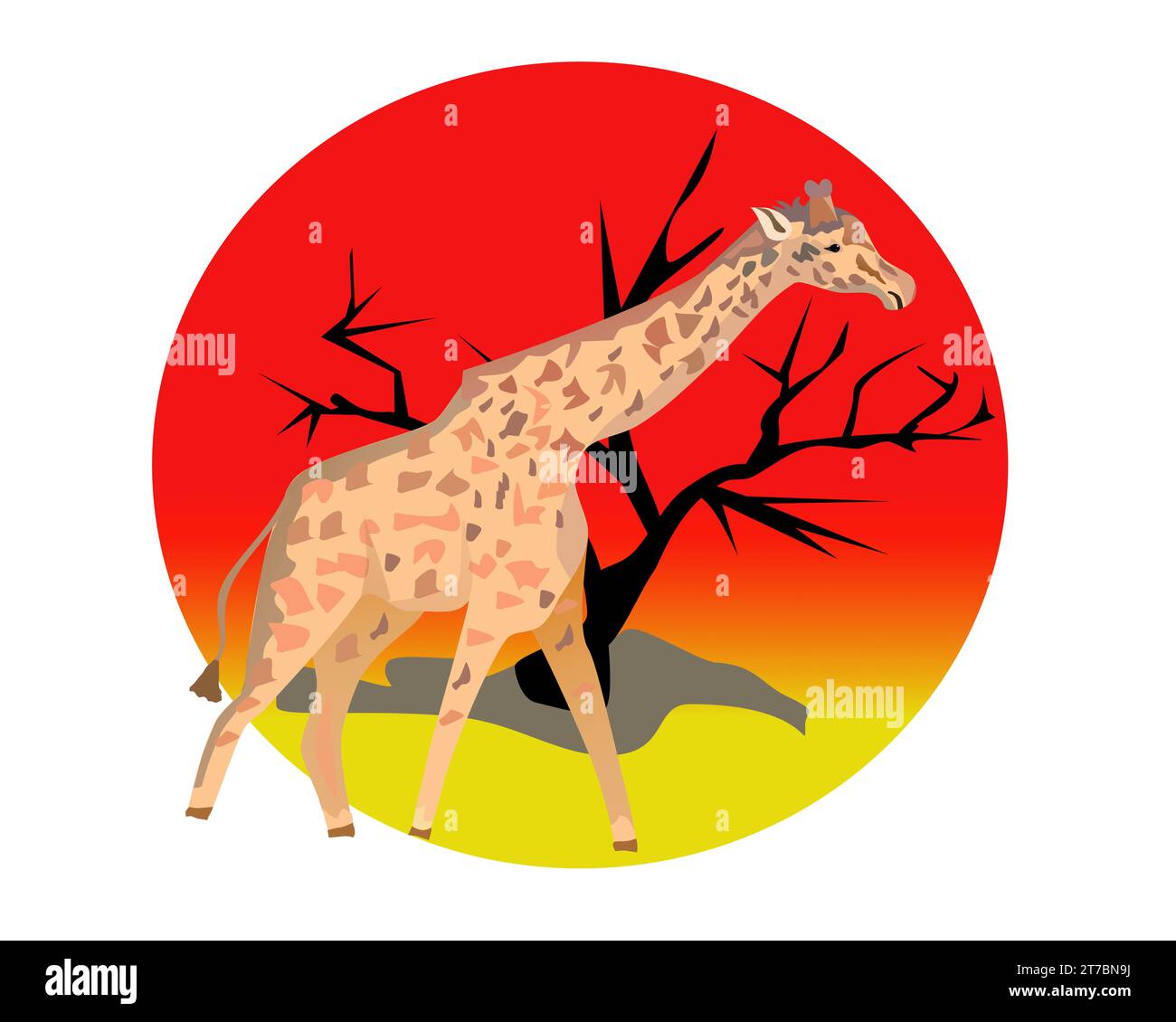 Eine große Giraffe in der Sonne und im Baum Stockfoto