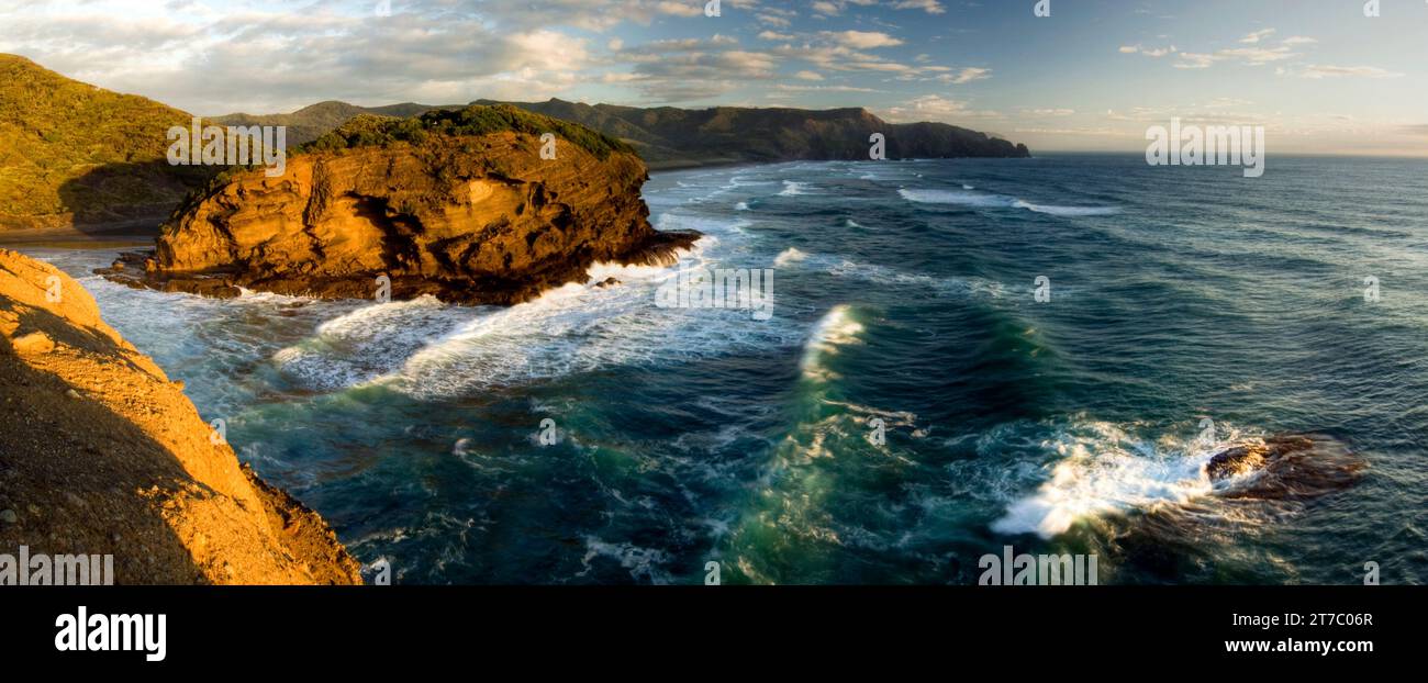 Bethells Beach, westlich von Auckland, auf Neuseelands Nordinsel. Stockfoto