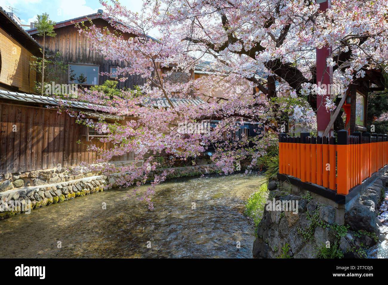 Kyoto, Japan - 2. April 2023: Shinbashi dori ist der Ort, an dem Gion-Ochaya Teehäuser nebeneinander auf der Straße stehen, verbunden mit dem Betrieb von Shir Stockfoto
