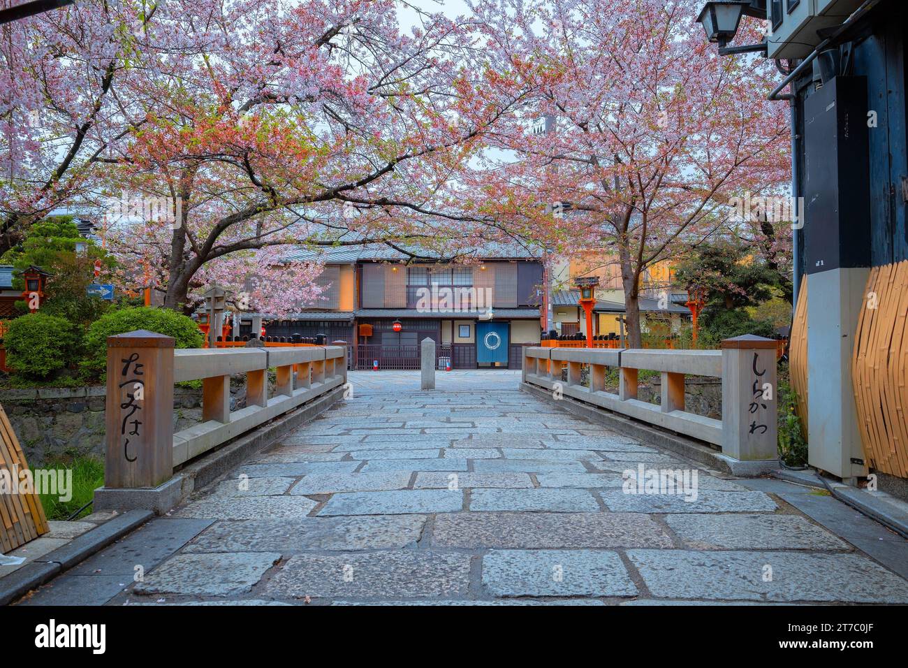 Kyoto, Japan - 6. April 2023: Die Tatsumi-Bashi-Brücke ist der berühmte Ort des Stadtteils Gion. Es ist eine kleine Brücke, die den Fluss Shirakawa überquert Stockfoto