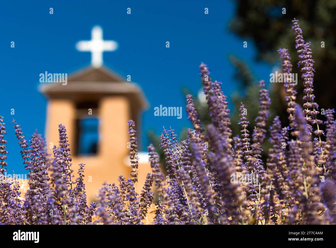 Kreuz, Kirche, Religion, Christentum, glaube, Gott, Lavendel, verschwommen, USA Stockfoto