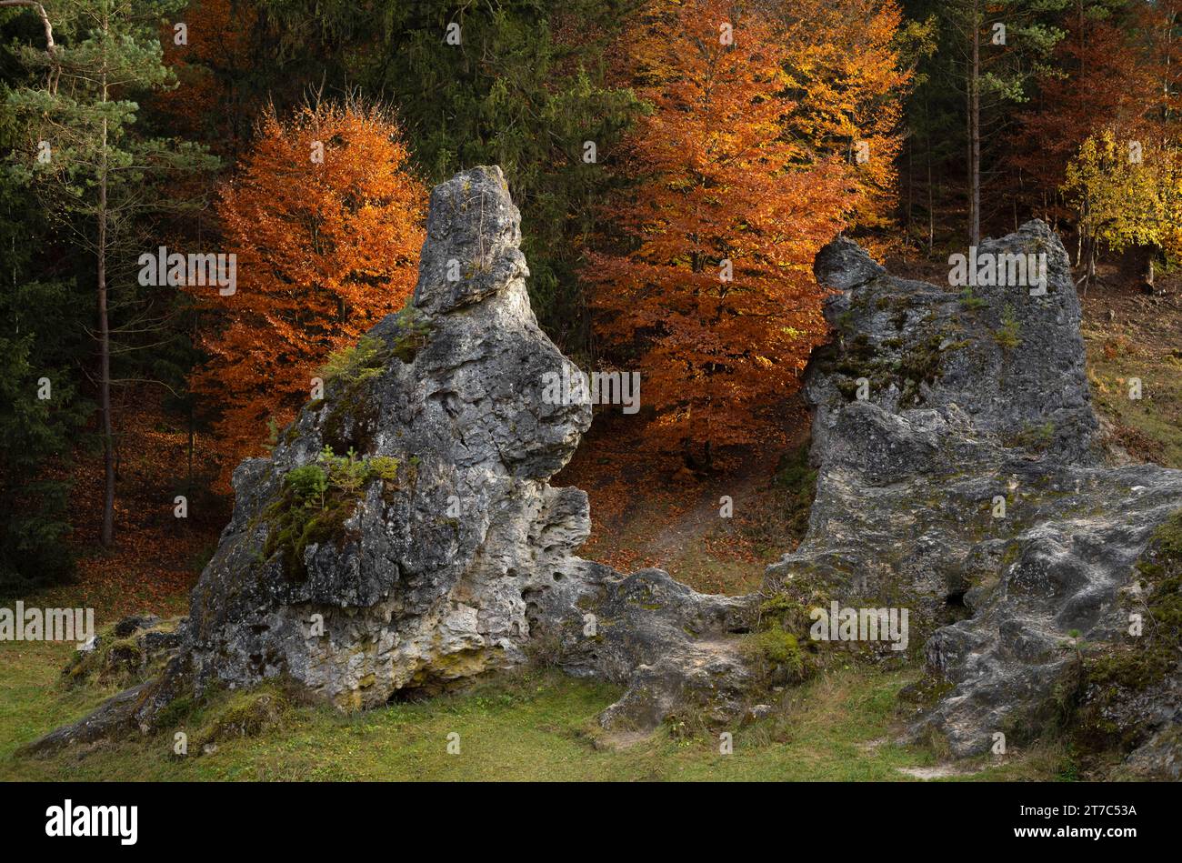 Dolomitfelsen, Meer der Felsen, Wental, Herbstatmosphäre, Herbst, Barholomae, Baden-Württemberg, Deutschland Stockfoto
