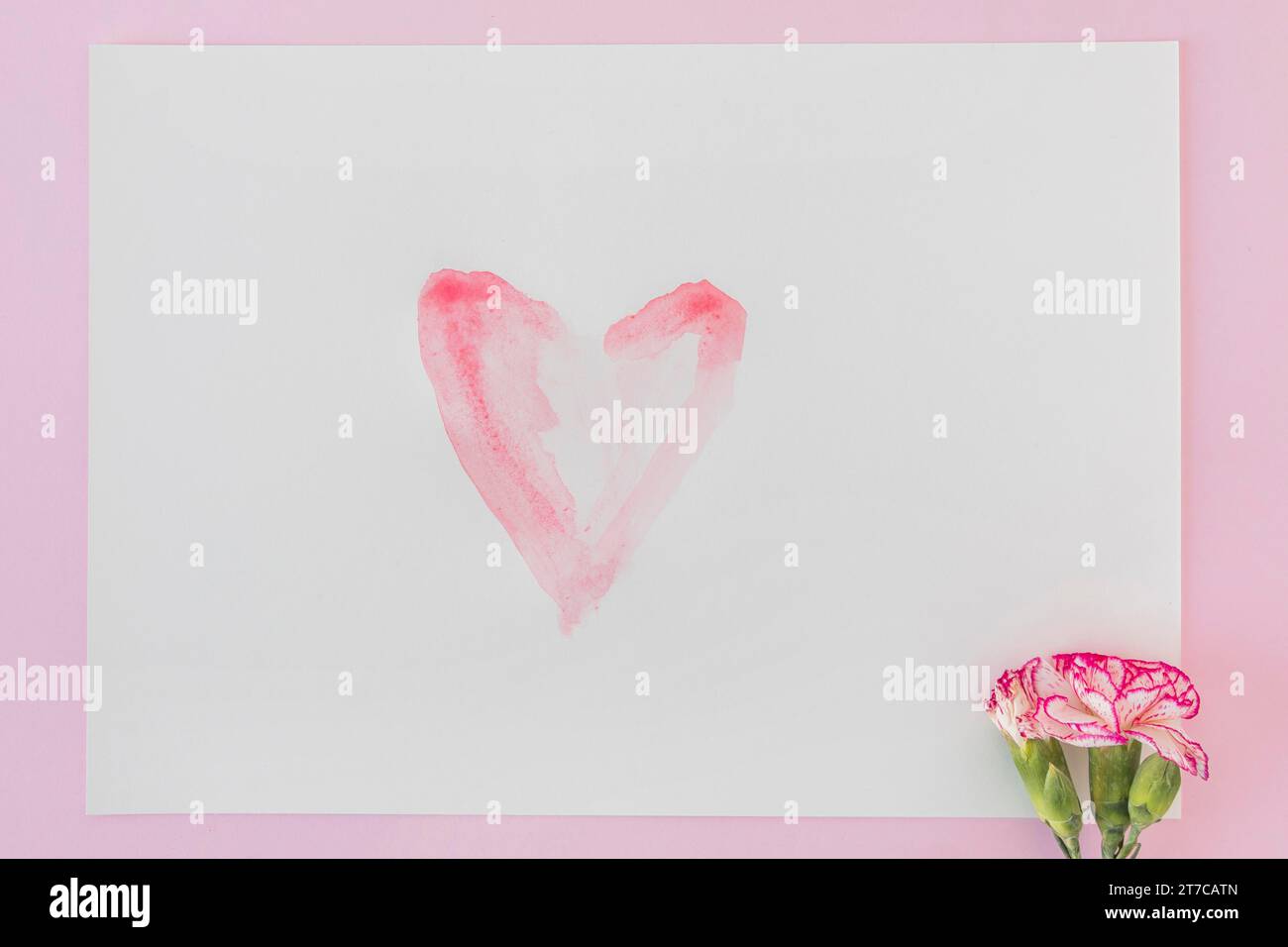 Frisches, wunderschönes Blütenpapier mit gemaltem Herz Stockfoto