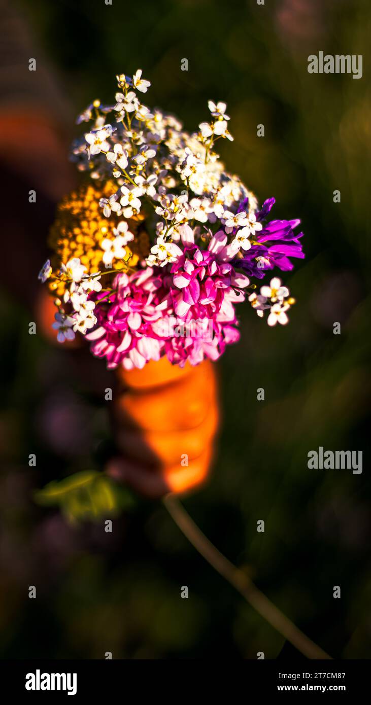 Ein romantischer Hintergrund mit einem Blumenstrauß in der Hand, perfekt für Themen zum Valentinstag und zum Frauentag. Hochwertige Fotos Stockfoto