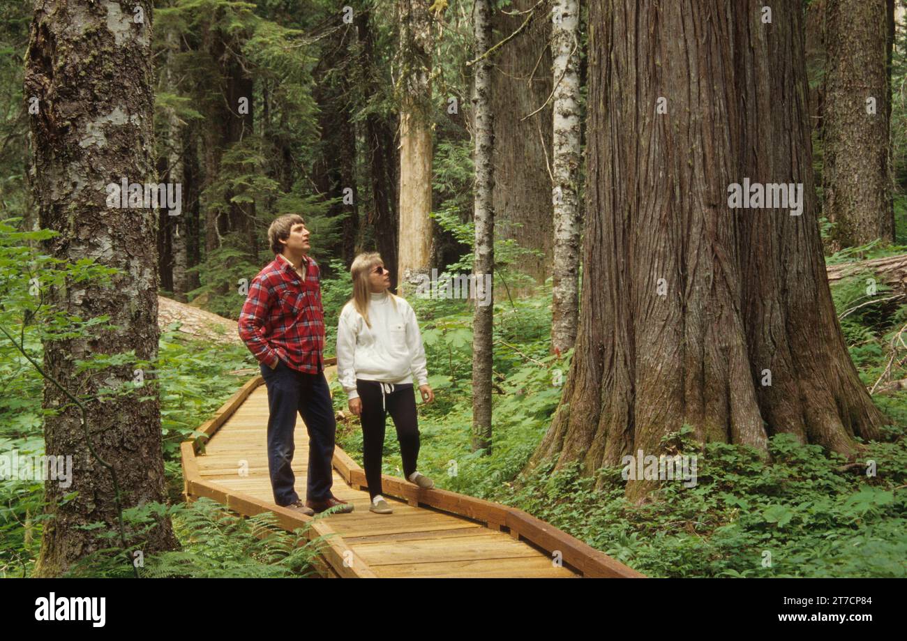 Lost Lake Trail Promenade, Mount Hood National Forest, Oregon Stockfoto