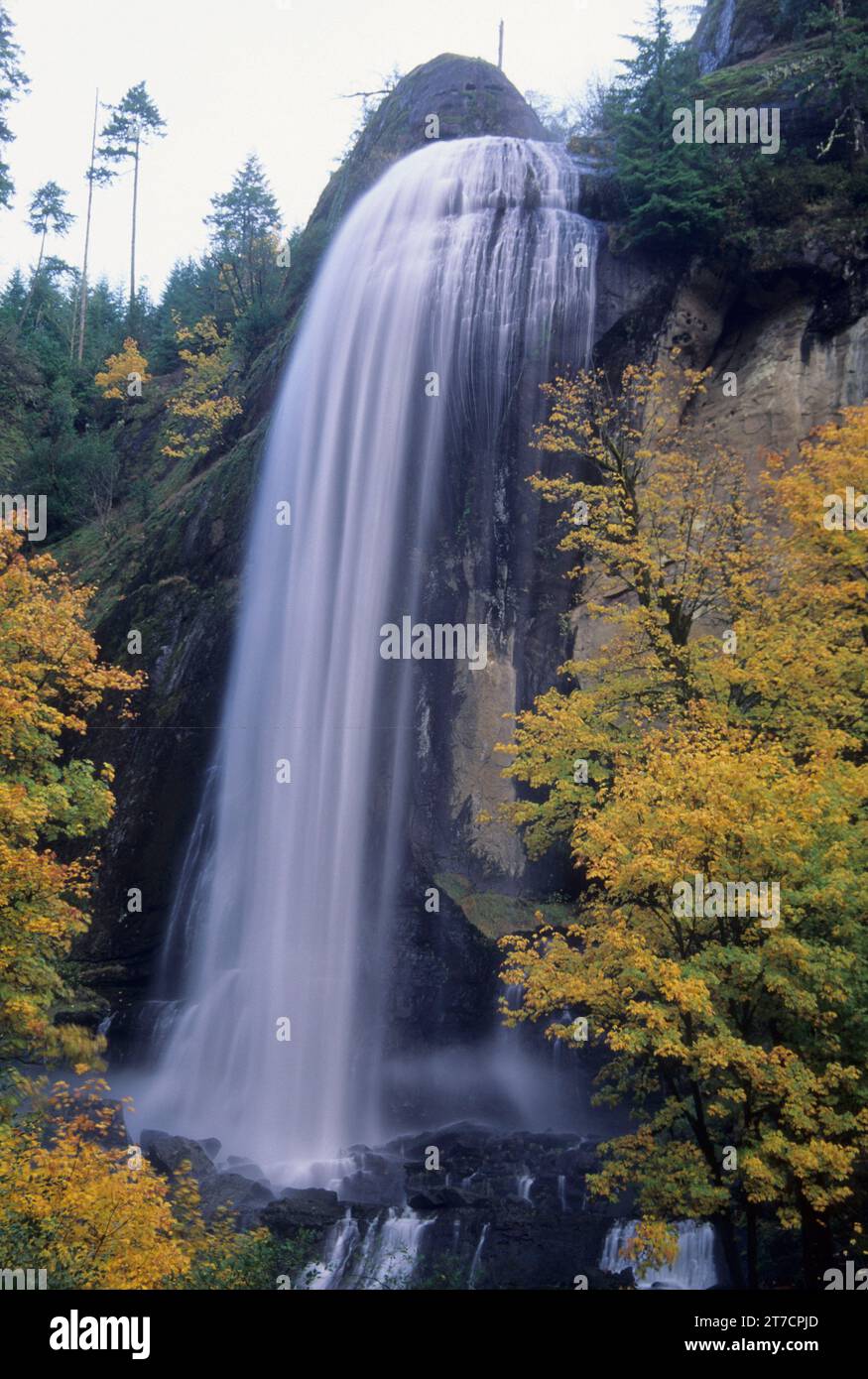 Silver Falls, Golden & Silver Falls State Park, Oregon Stockfoto