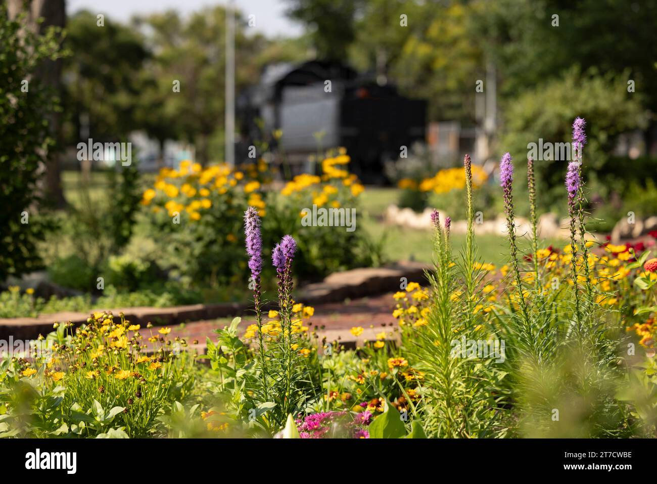 Flache Tiefenansicht der Blumen in einem Park in der Innenstadt von Arkansas City, Kansas, USA. Stockfoto