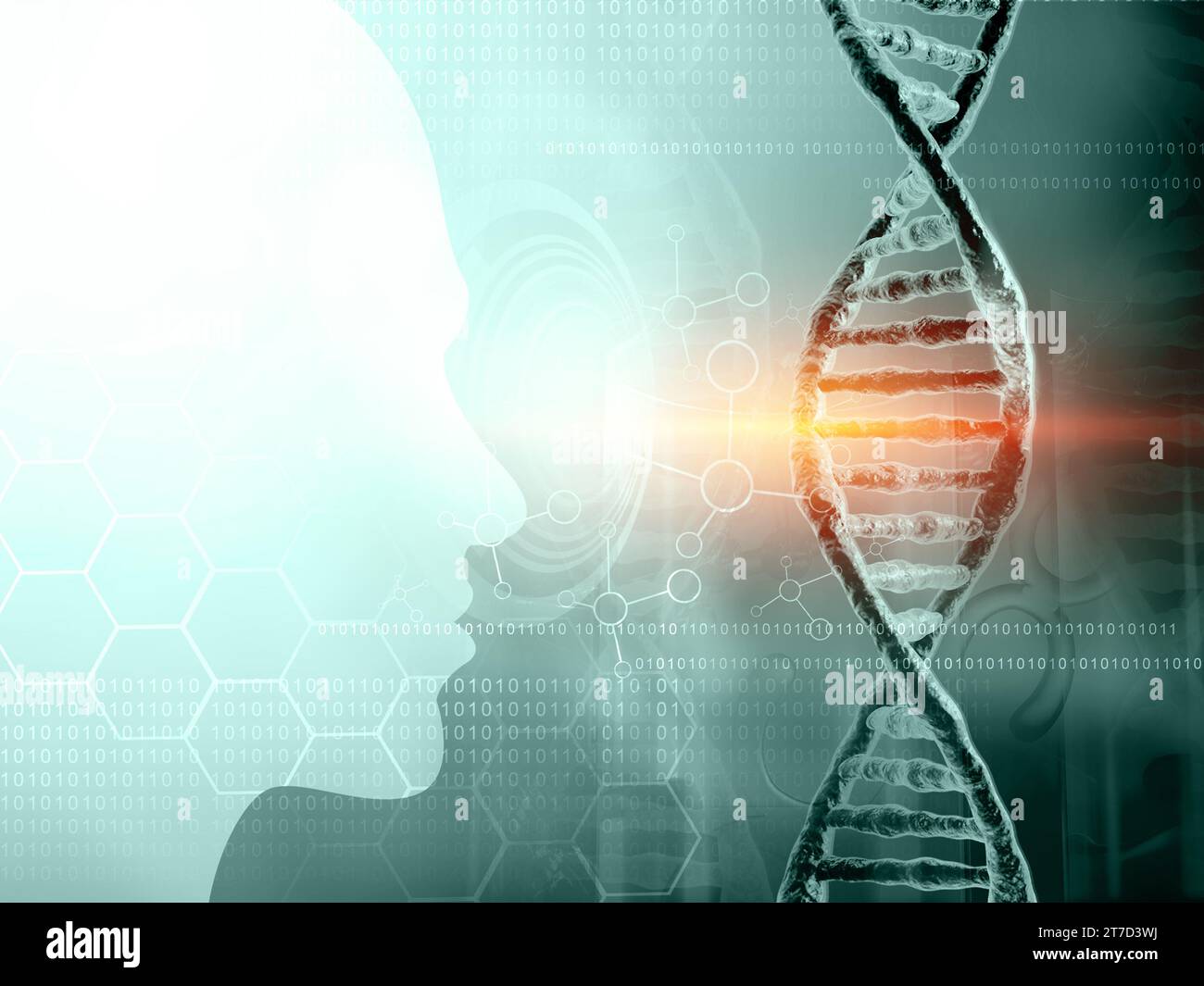 Humanes DNA-Molekül. Untersuchungen des menschlichen Genoms , biochemischer Hintergrund. 3D-Abbildung Stockfoto Humanes DNA-Molekül. Untersuchungen des menschlichen Genoms , biochemischer Hintergrund. 3D-Abbildung Stockfoto