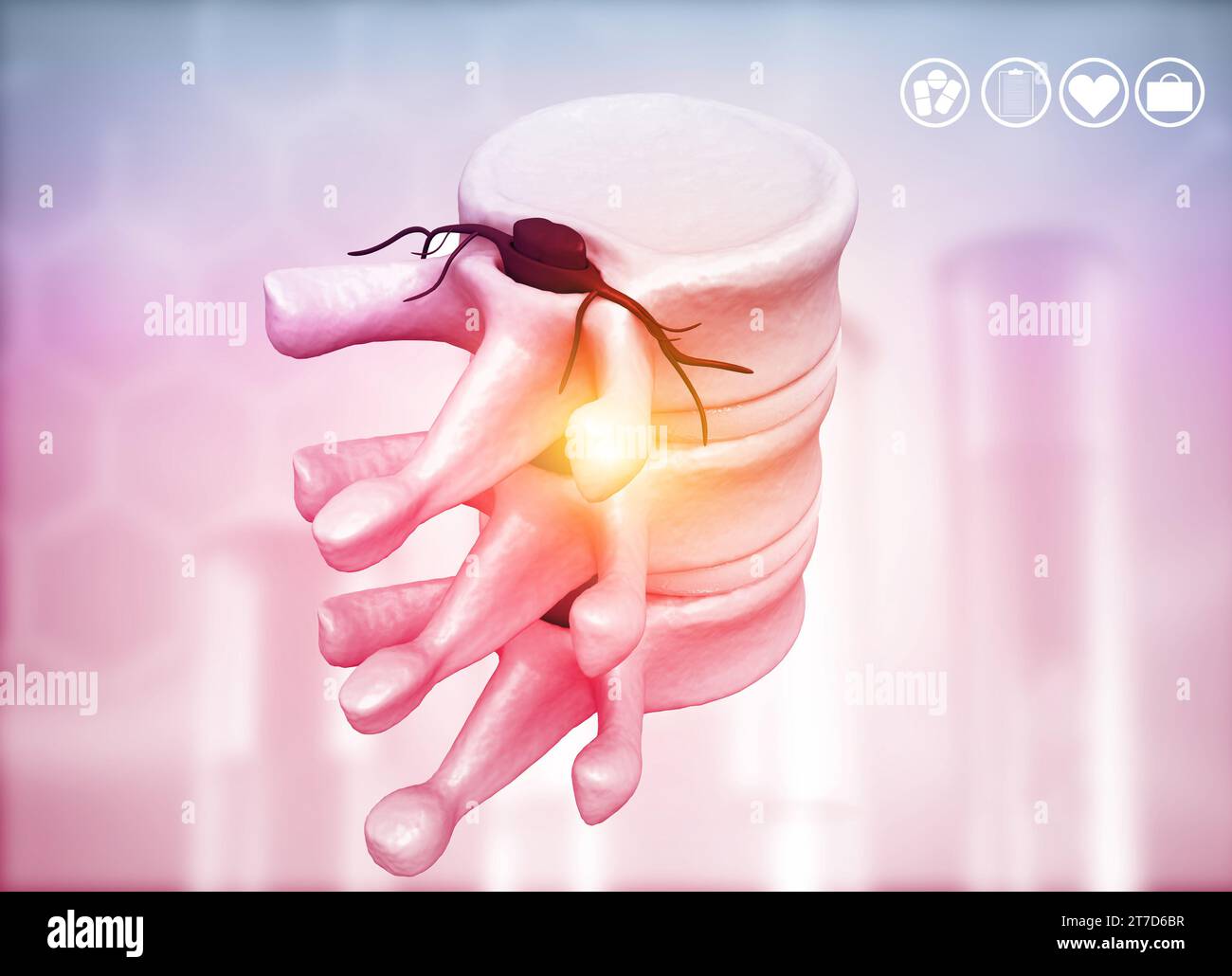 Menschliche Wirbelanatomie - Hintergrund. 3D-Abbildung Stockfoto