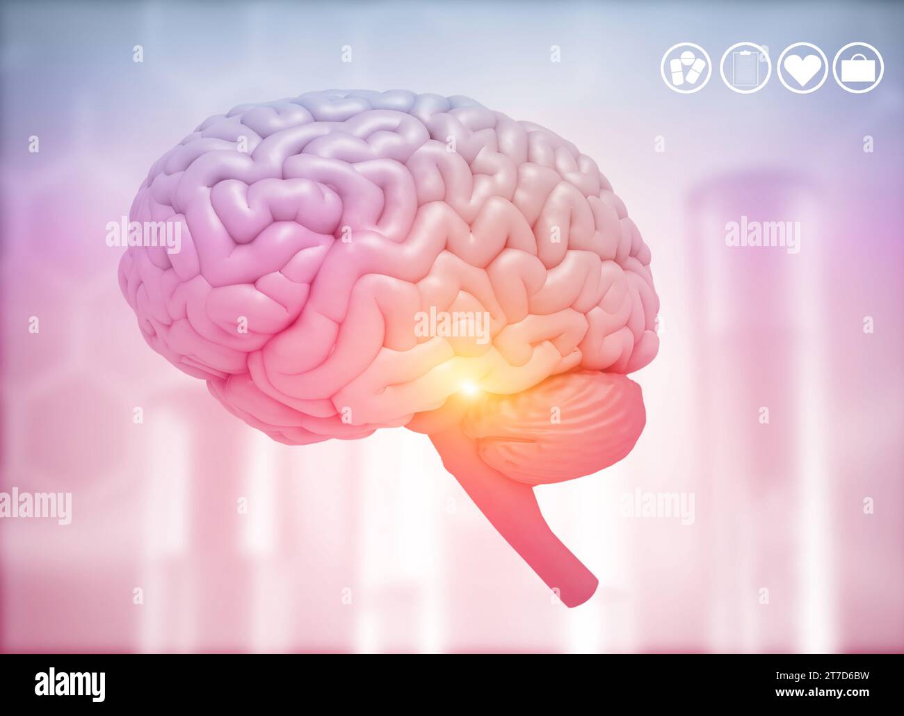 Menschliches Hirnanatomiediagramm auf medizinischem Hintergrund. 3D-Abbildung Stockfoto