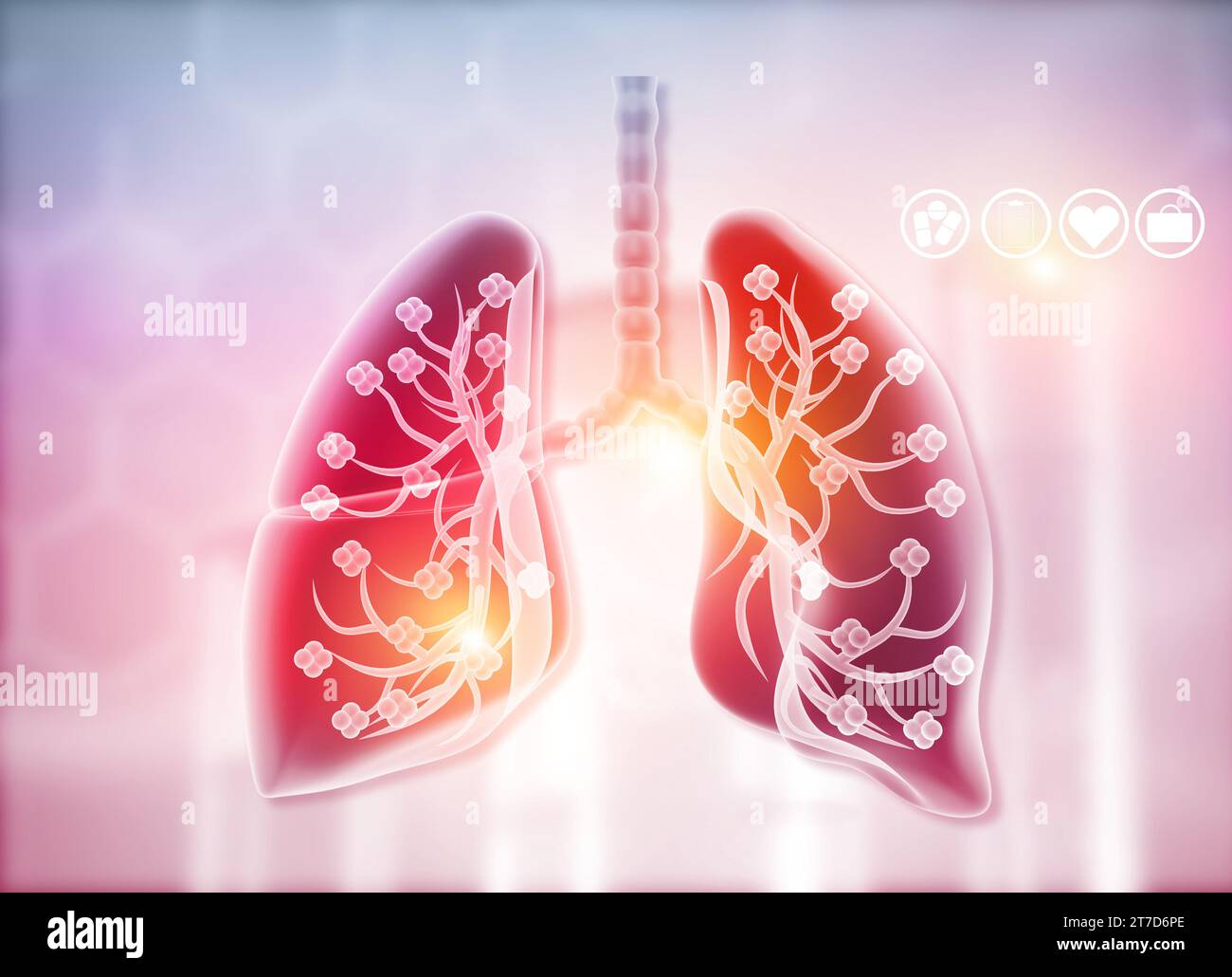 Anatomie der menschlichen Lunge. 3D-Rendering Stockfoto