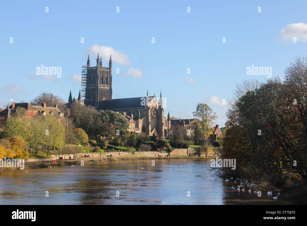 Worcester Kathedrale vom Fluss Severn aus gesehen Stockfoto