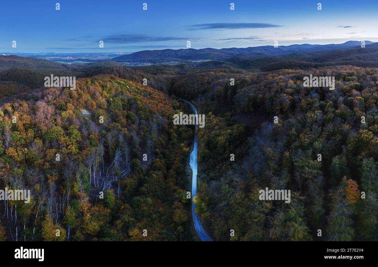 Luftaufnahme des Waldes mit roten Bäumen auf dem Berg im Herbst in der Slowakei. Farbenfrohe Landschaft. Blick von oben von der Drohne bei Nacht. Stockfoto