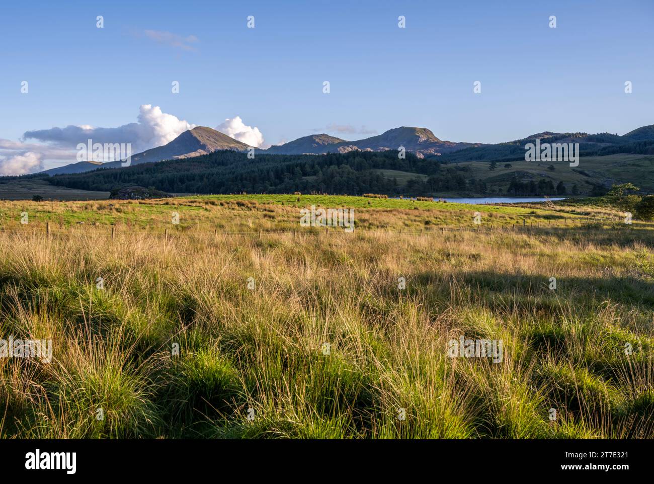 Eryri Nationalpark (Snowdonia) - Blick von Rhyd - Ddu Stockfoto