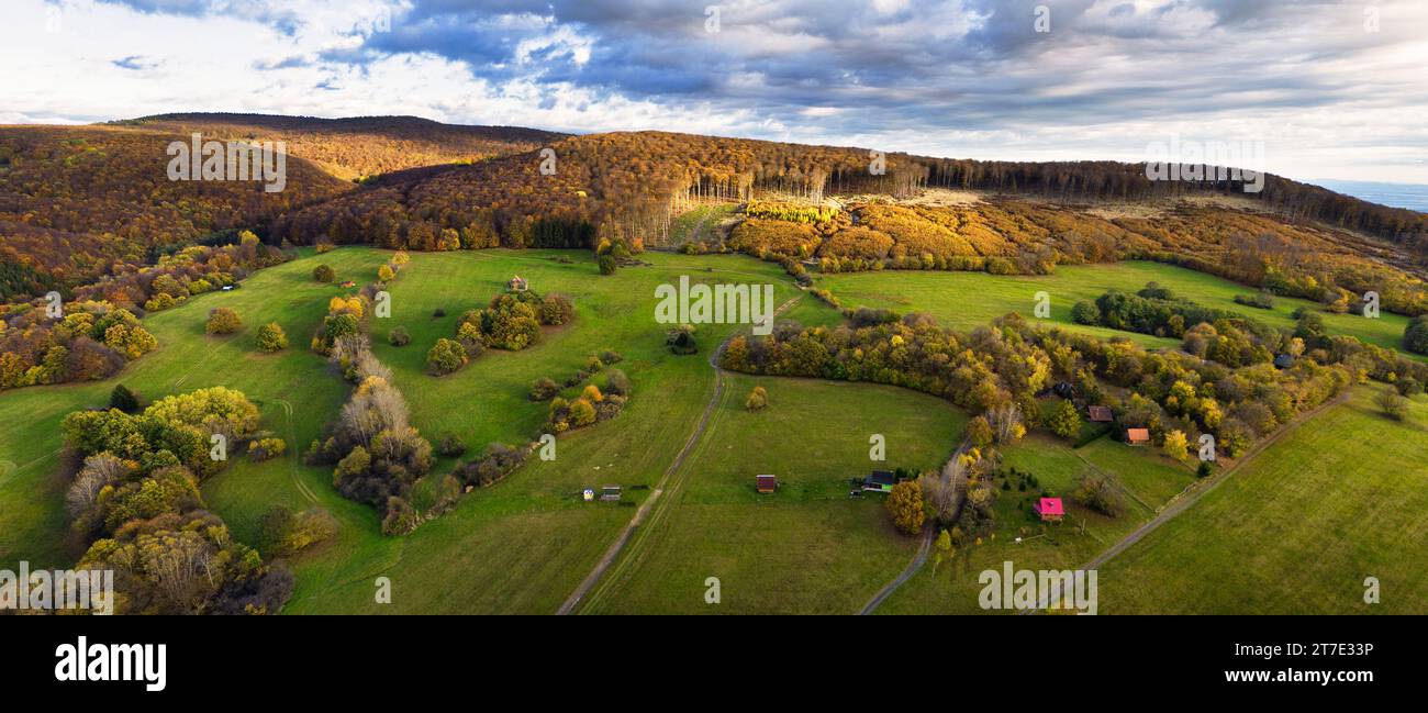 Wunderschöner herbstfarbener Wald, untergehende Sonne mit dramatischem Himmel, Tal mit grünem Gras und Bäumen. Sonnenlicht Naturlandschaft Stockfoto
