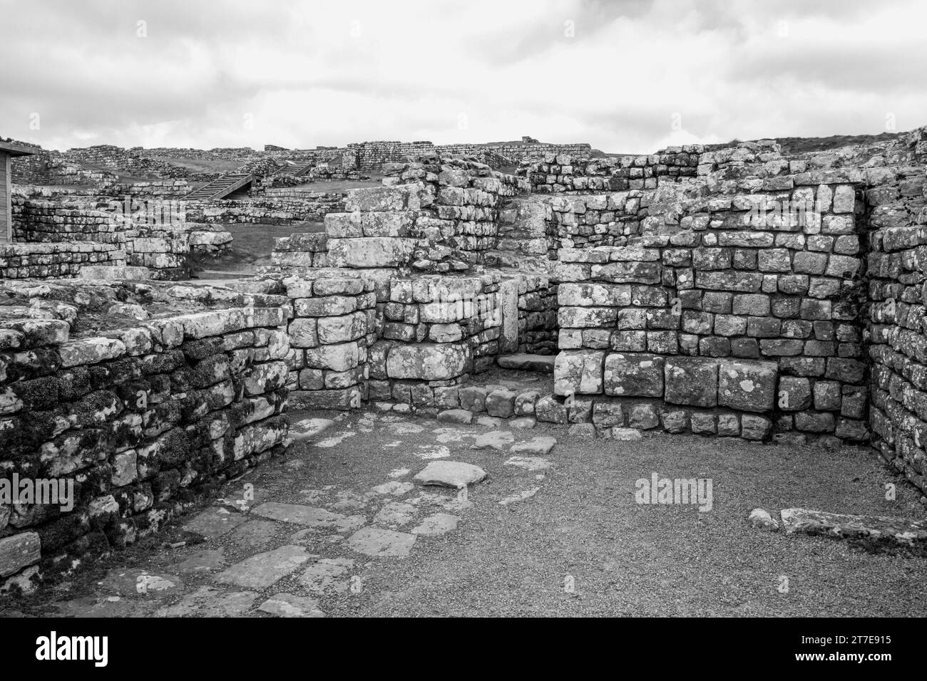 Blick auf die Überreste des römischen Forts Vercovicium (besser bekannt als Housesteads Fort) in Schwarz-weiß. Stockfoto