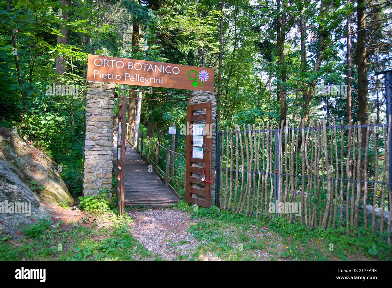 Botanischer Garten Pietro Pellegrini. Mass. Toskana. Italien Stockfoto
