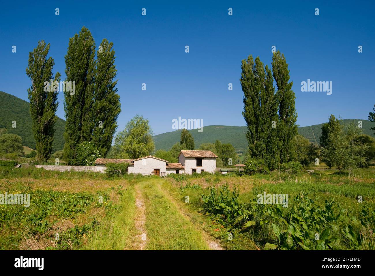Die Wasserwiesen. Norcia. Umbrien. Italien Stockfoto