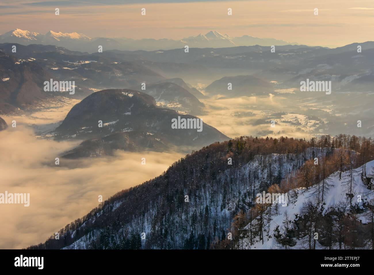 Winterlandschaft mit schneebedeckten Bergen und Wolken am Morgen, Slowenien. Blick vom Vogel auf den Bohinj-See im Nebel. Stockfoto