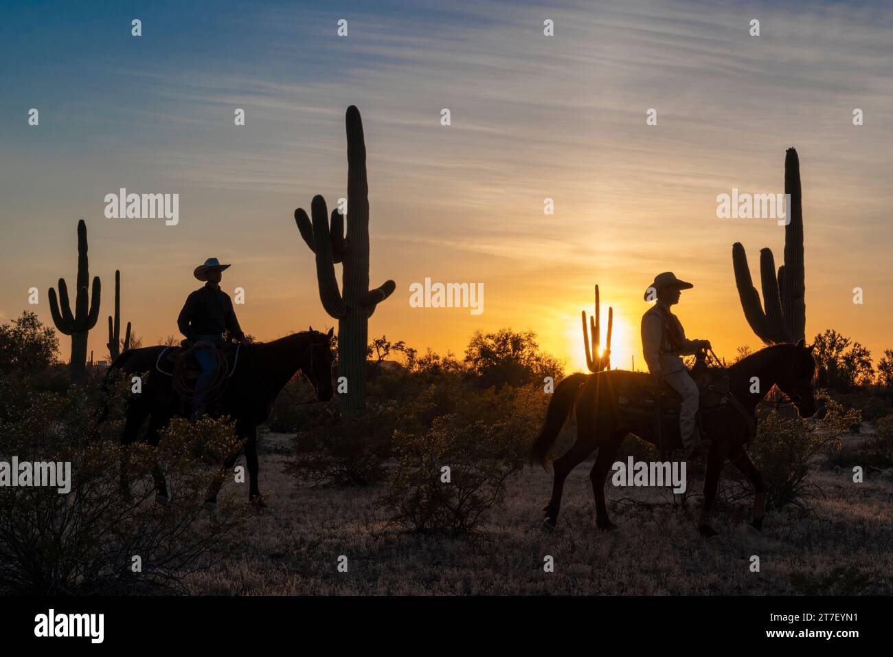 Hunter Cooley und Zach Libby reiten bei Sonnenuntergang, White Stallion Guest Ranch, Marana, Arizona Stockfoto